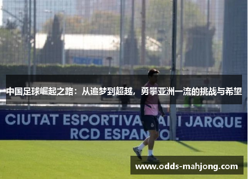 中国足球崛起之路：从追梦到超越，勇攀亚洲一流的挑战与希望