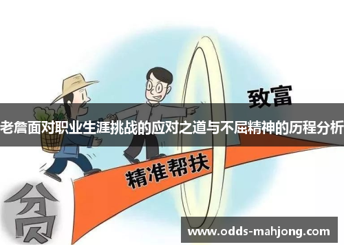 老詹面对职业生涯挑战的应对之道与不屈精神的历程分析