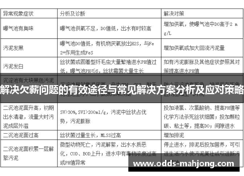 解决欠薪问题的有效途径与常见解决方案分析及应对策略 解决欠薪问题的有效途径与常见解决方案分析及应对策略