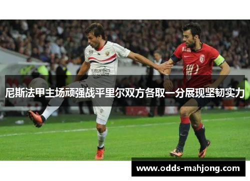 尼斯法甲主场顽强战平里尔双方各取一分展现坚韧实力 尼斯法甲主场顽强战平里尔双方各取一分展现坚韧实力