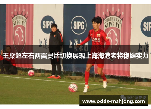王燊超左右两翼灵活切换展现上海海港老将稳健实力 王燊超左右两翼灵活切换展现上海海港老将稳健实力