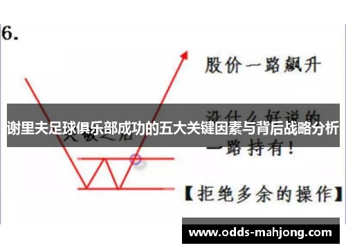 谢里夫足球俱乐部成功的五大关键因素与背后战略分析