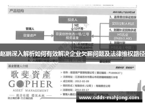 赵鹏深入解析如何有效解决企业欠薪问题及法律维权路径