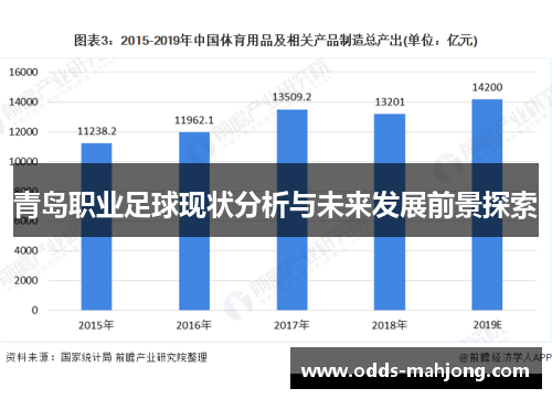 青岛职业足球现状分析与未来发展前景探索 青岛职业足球现状分析与未来发展前景探索
